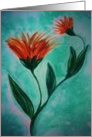 Wild flower, Birthday Love card