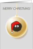 Dazzled Bug On Christmas Ball Merry Christmas card