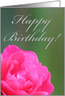 Happy Birthday Rose Card