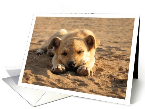 Doggie Card for Any Occasion card (100618)