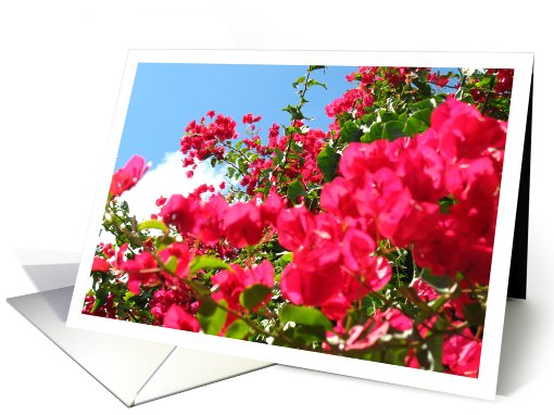 Flower card for any occasion card (100620)