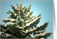 Snowy Tree Card for Any Occasion card