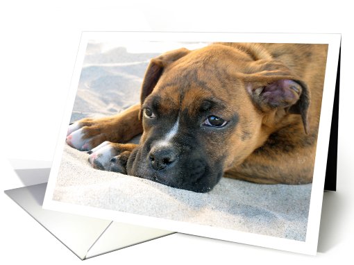 Doggie Card for Any Occasion card (102269)