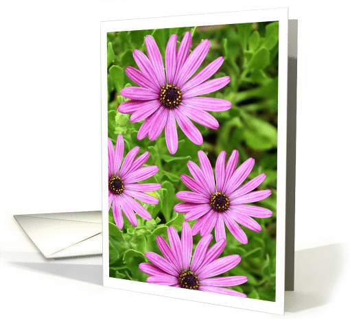 Flower Card for Any Occasion card (1037417)