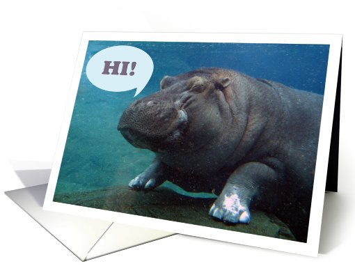 Hippo Card What's Up / Hi / Hello card (104285)