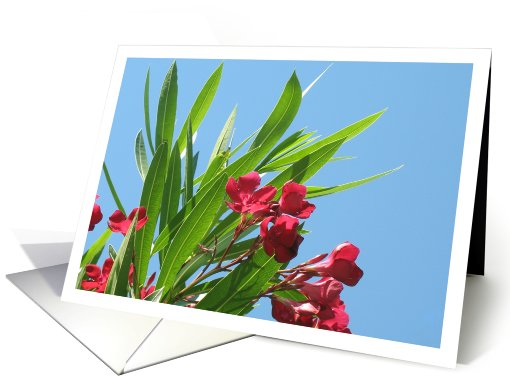 Flower Card for Any Occasion card (104293)