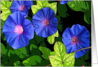 Blue Flower Card for Any Occasion card