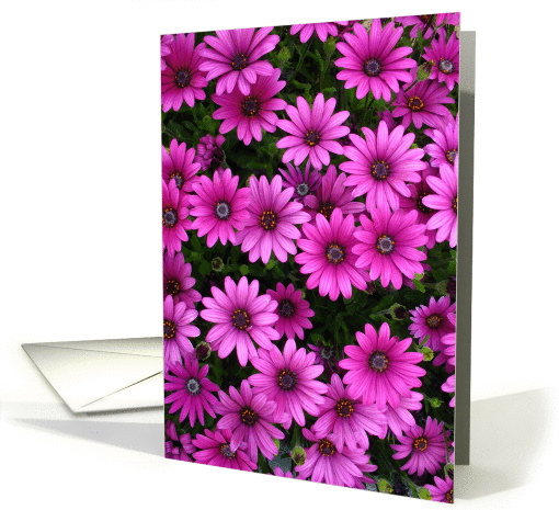 Pink Flower Card for Any Occasion card (1101030)