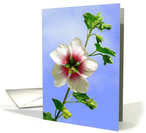 Flower Card for Any Occasion card (1101032)