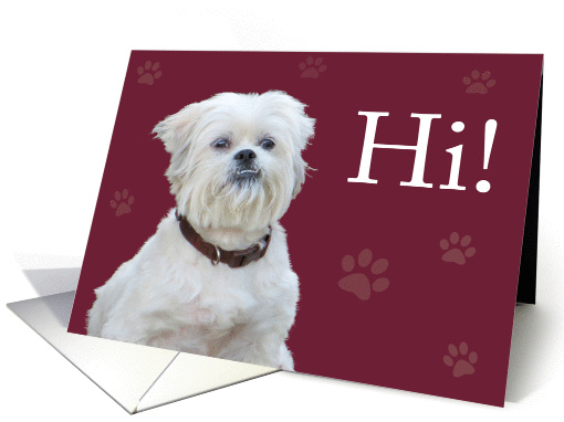 Hi! Doggie card (1101036)