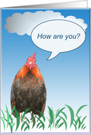 Rooster Card - How Are You? card