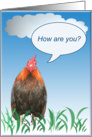 Rooster Card - How Are You? card