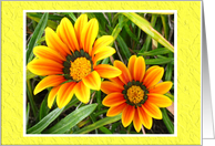 Flower Card For Any Occasion card