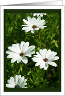 Flower Card - Happy...