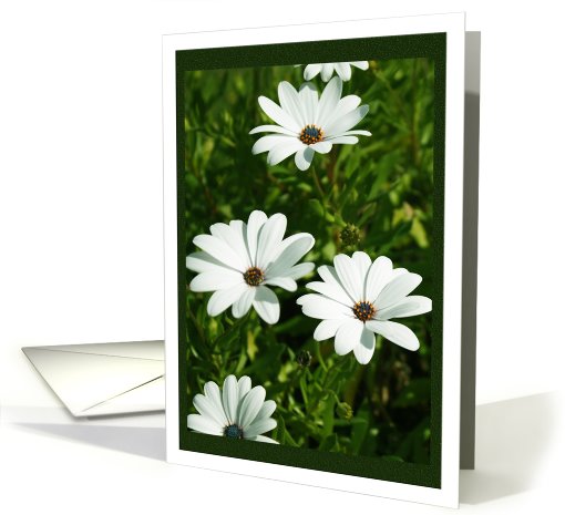 Flower Card for Any Occasion card (808518)