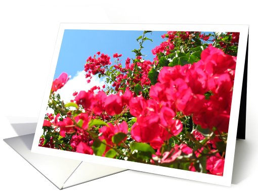 Flower Card - Happy Birthday card (808969)