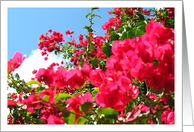 Flower Card - Happy Birthday card