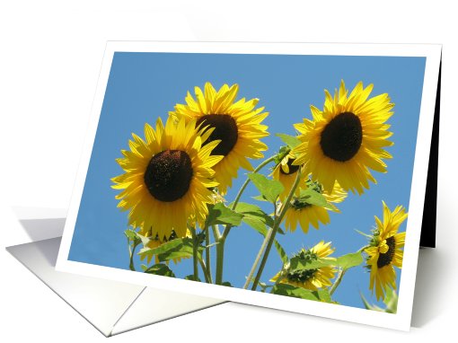 Flower Card for Any Occasion card (810874)