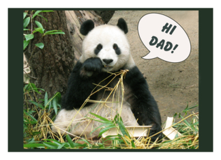 Panda Father's Day...