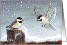 Chickadees in the Snow card