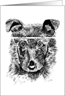 German Shepherd Puppy card