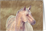 Horse card