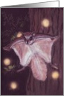 Night flyers card