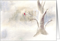 Quiet card