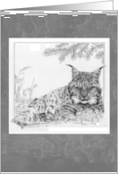 Linx card