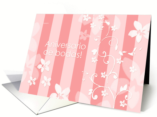 Aniversario de bodas! -wedding anniversary written in spanish card