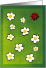 Spring Begins - ladybird themed cards