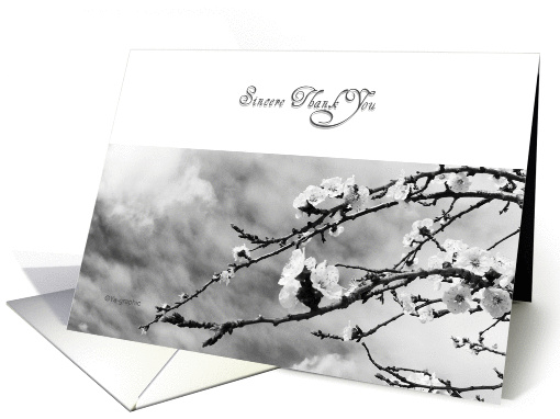 Sincere thank you, apricot tree flowers card (165936)