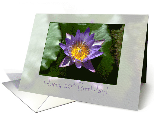 purple water lily - Happy 80th Birthday card (155502)