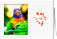 Happy Father’s Day - Rainbow Lorikeet card
