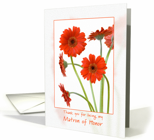 Thank you for being my matron of honor - orange gerbera daisies card