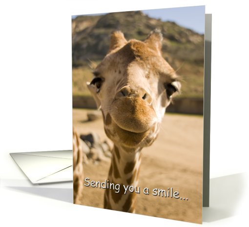 Smiling Young Giraffe - Hello! card (410003)