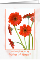 orange gerbera - will you be my matron of honour invitation card