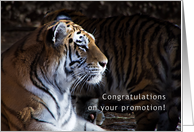 Tiger - congratulations on your promotion card