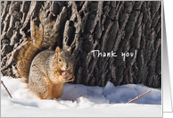 Squirrel with walnut - Thank you for the gift card