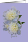 Thank You, Italian, Grazie, White Peony Flowers card