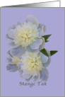 Thank You, Danish, Mange Tak, White Peony Flowers card