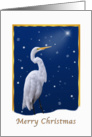 Christmas, Great Egret Bird, Religious card