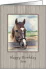 Birthday, Son, Brown and White Horse card