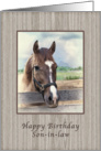 Birthday, Son-in-law, Brown and White Horse card