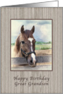 Birthday, Great Grandson, Brown and White Horse card