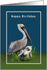 Birthday, From Couple, Two Brown Pelicans card