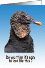 Birthday, Black Vulture Bird card