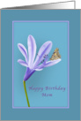 Birthday, Mom, Lilac Daylily Flower and Butterfly card