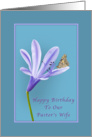 Birthday, Pastor’s Wife, Lilac Daylily Flower and Butterfly card