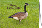 Father’s Day, Canada Goose Bird card